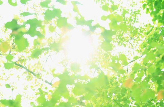 鹿児島市で外壁塗装を料金や値段だけで選ぶのは危険！？選ぶポイントとは｜Re.house鹿児島株式会社